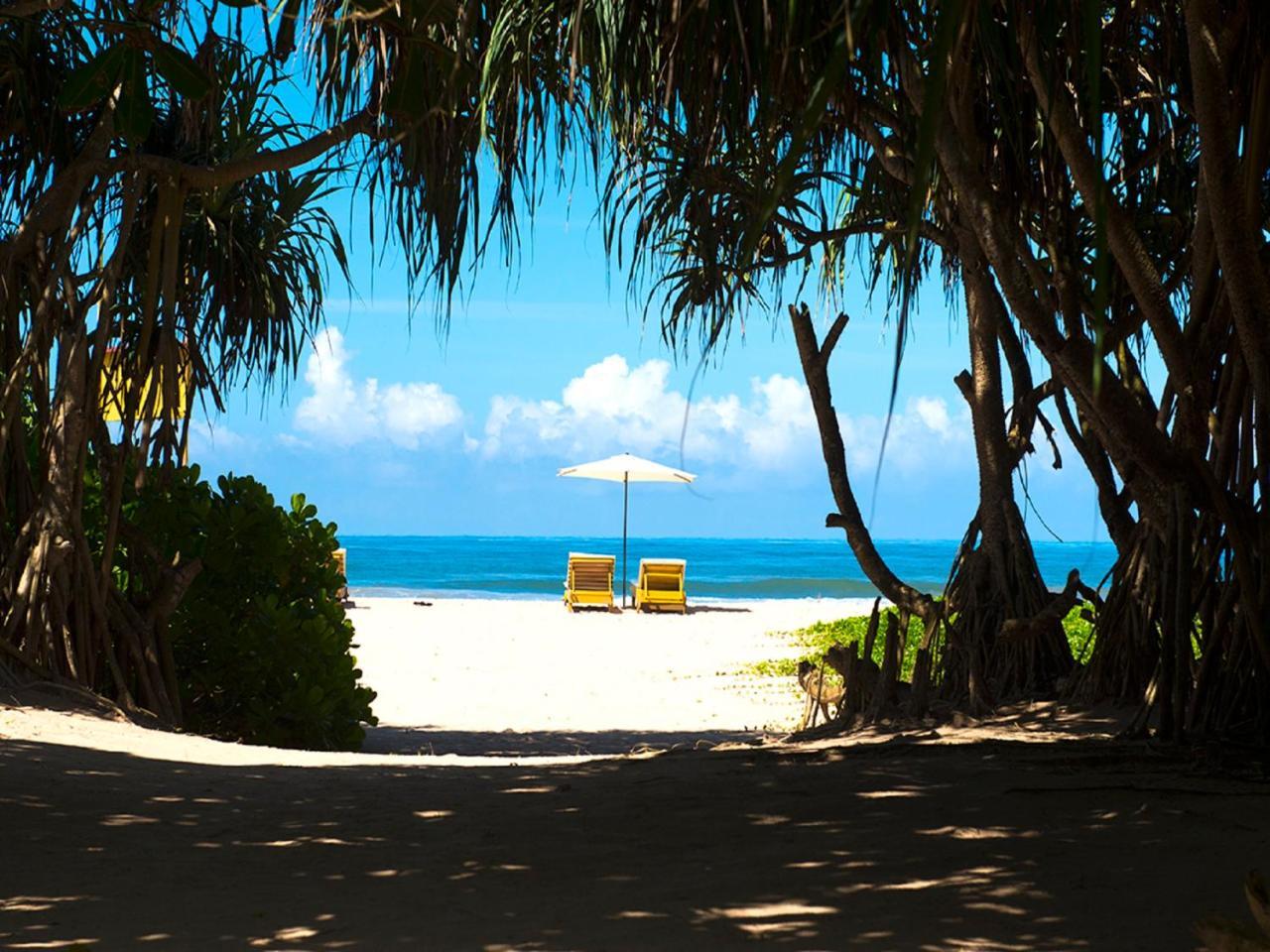 Palm Beach Inn & Sea Shells Cabanas Μπεντότα Εξωτερικό φωτογραφία