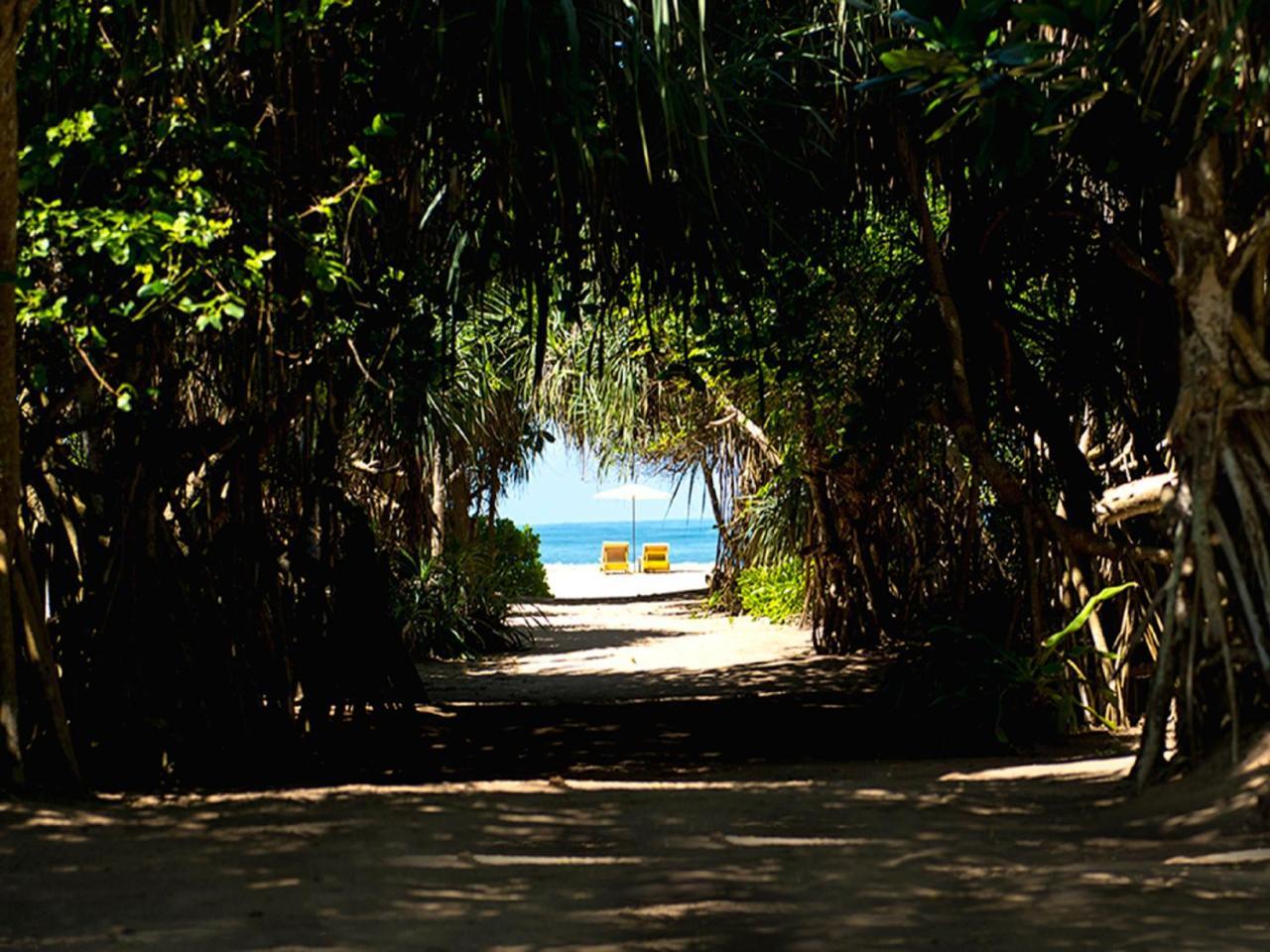 Palm Beach Inn & Sea Shells Cabanas Μπεντότα Εξωτερικό φωτογραφία